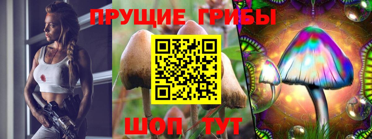 Псилоцибиновые грибы прущие грибы Обь