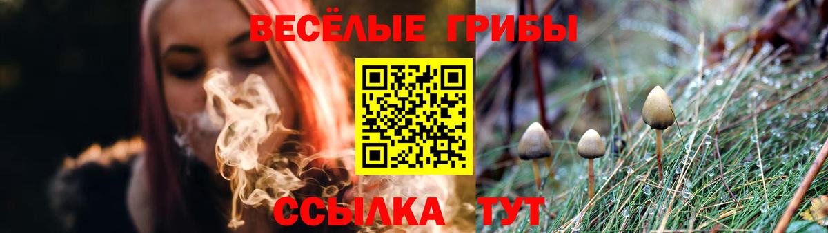 Галлюциногенные грибы мухоморы  Вход с VPN  Обь 